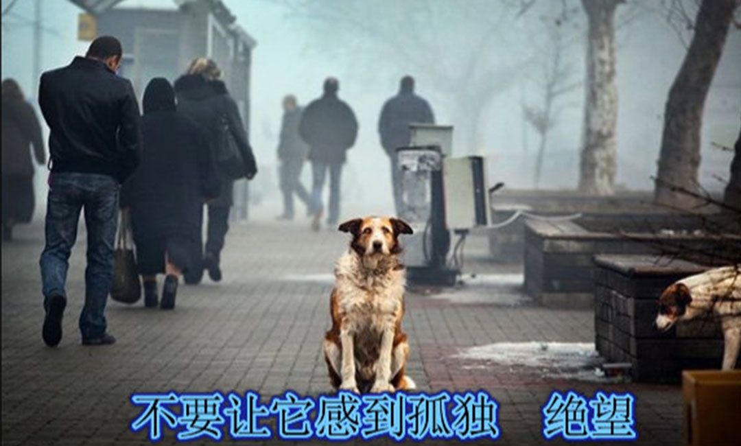 临汾临汾爱影圈微博微信转发案例